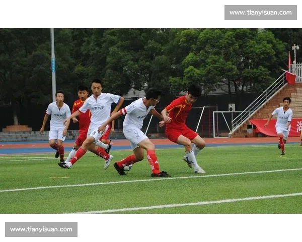 以竞技赛事与校园体育为核心视角探讨目标功能与发展路径差异研究